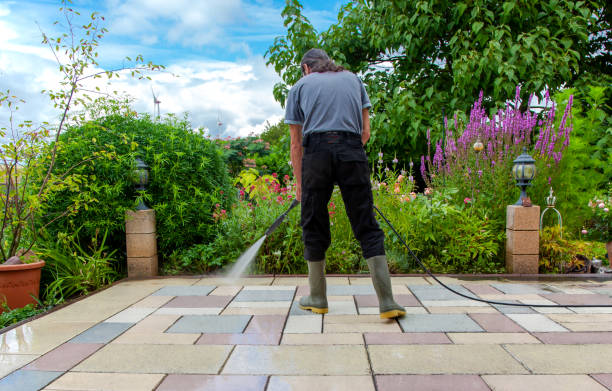 Professional Pressure Washing Services in Northdale, FL